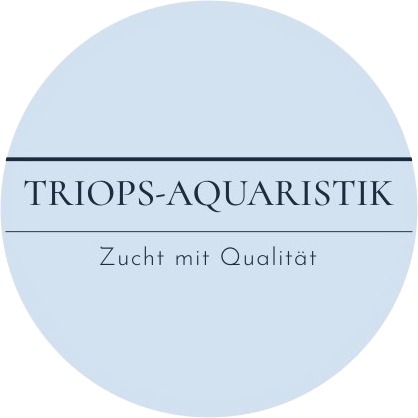 Triops-Aquaristik
