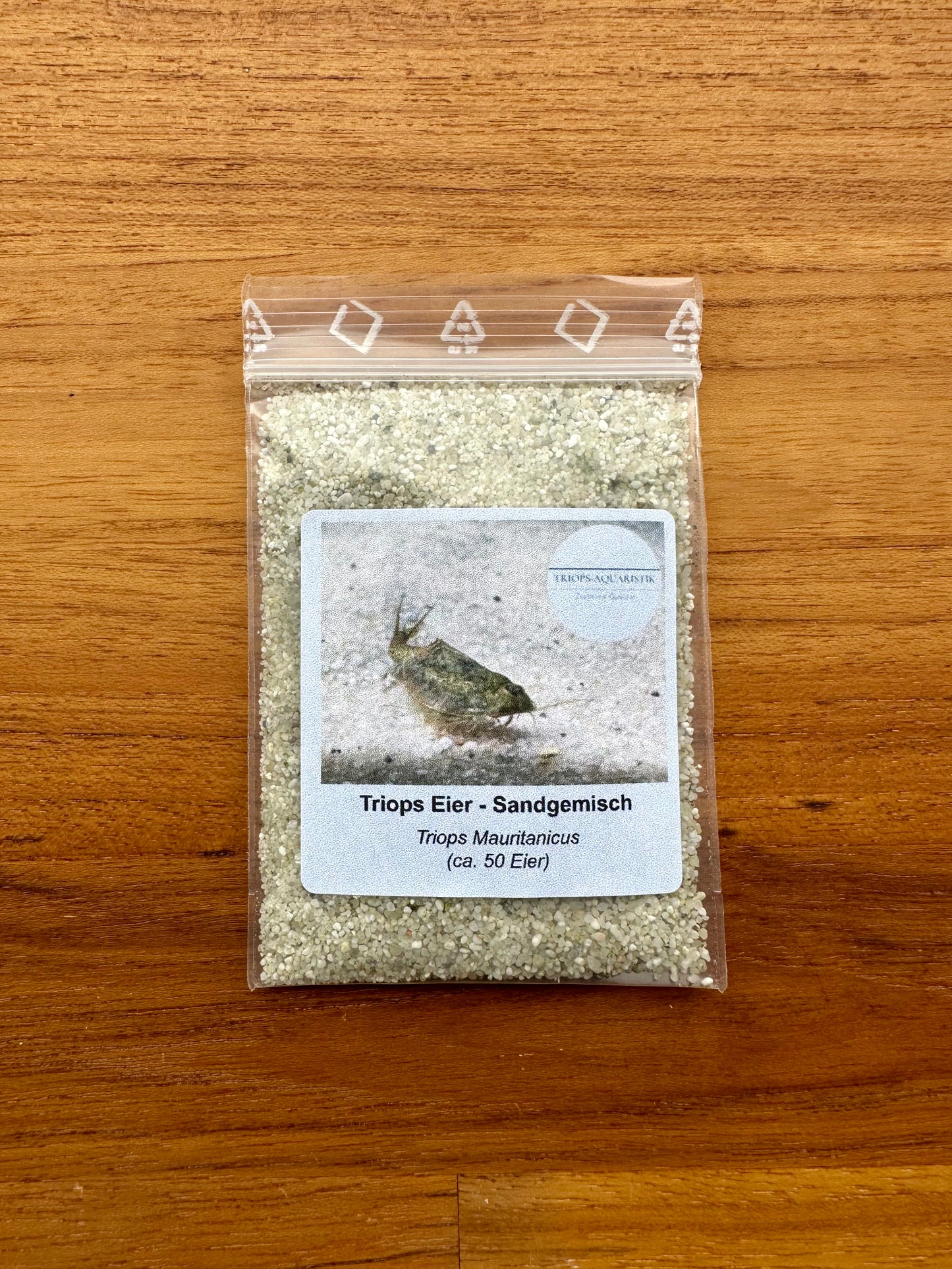 Breeding approach Triops Mauritancius green Spain including food and instructions