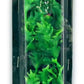 Plante d'aquarium, blister artificiel 10cm
