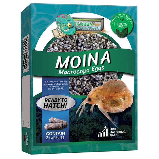 Moina Macrocopa Japanese water flea eggs